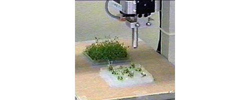 Automated Plant Micro-Propagation