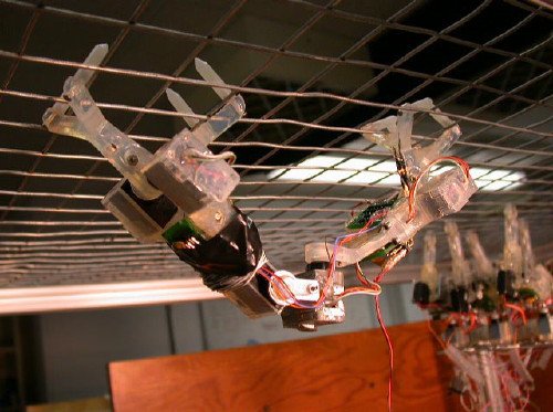 Brachiation Bot