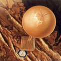 Flying: Venus Balloon