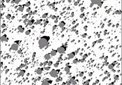 Rock Detection Study for Phoenix