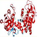 GNEIMO: Generalized Internal Coordinate Molecular Dynamics Methods