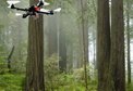 Rapid Forest Triage by Sub-canopy Micro Air Vehicle