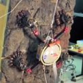 Rock Climbing Robot and Zero-g Drill, 2013