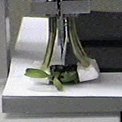 Automated Plant Micro-Propagation Demonstration, 2001